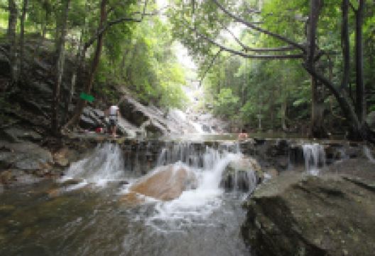 Paradise Waterfall景点图片