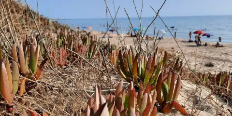 Spiaggia di Randello