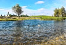 Nansen Park景点图片