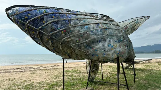 Royal Thai Navy Third Fleet Sea Turtle Nursery - Phang Nga