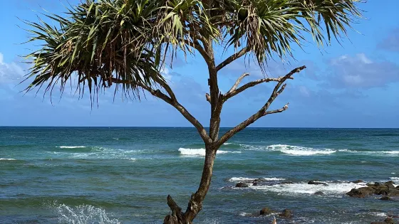 Hikinaakala Heiau