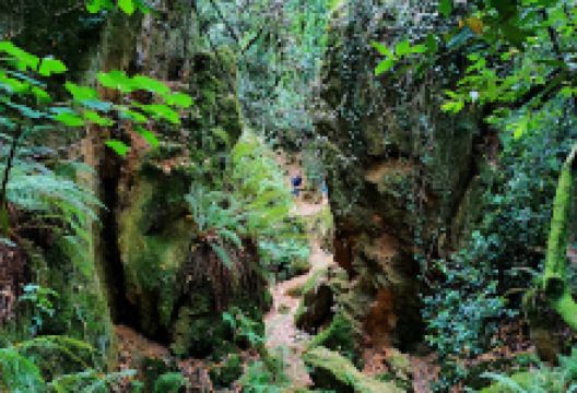 Mitológico Mina Pepita Park景点图片