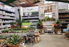 Horticultural Center Brabec购物图片