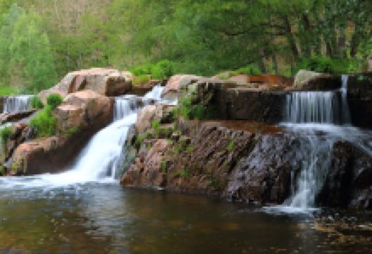 Molí de Bojons景点图片