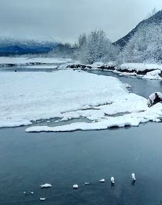 奇尔卡特河-海恩斯自治市镇