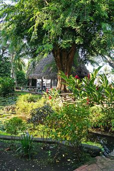 Bougainville Park-帕皮提