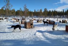 Snøhetta Husky AS景点图片