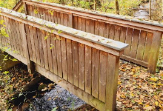 Feuchtwiesen-Erlebnispfad Frammersbach景点图片