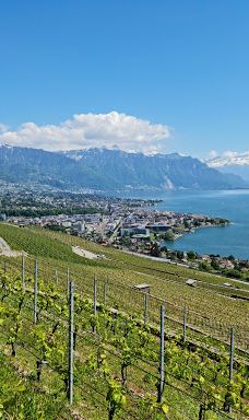 Terrasses viticoles de Lavaux-Lavaux-Oron District