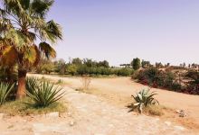 King Abdullah National Park景点图片