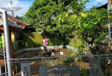 Situs / Cagar Budaya Cangkuang景点图片