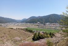 かみかわ桜の山 桜华园景点图片