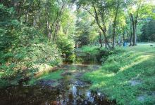 Sunfox Campground LLC景点图片