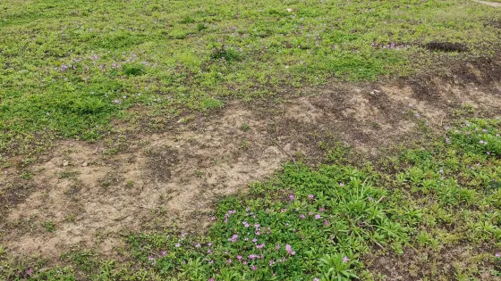 長田灣水庫