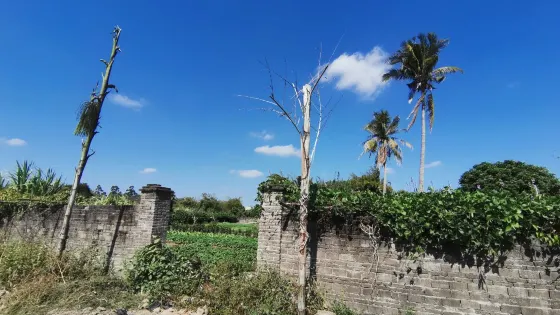 桄榔庵遺址