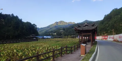 凈心谷景區荷花池