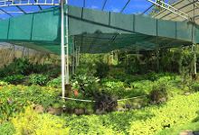 Vivero Lacon购物图片
