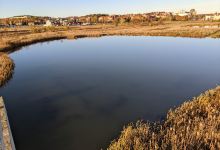 Steningedalens Utsiktstorn景点图片