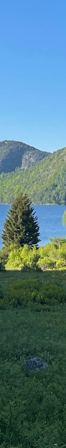 阿科底亚国家公园-沙山