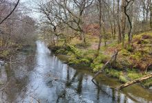 Loch Lomond Faerie Trail景点图片
