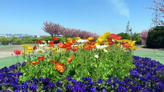 Peace Citizen Park
