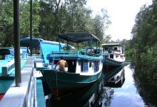 Camp Leakey景点图片