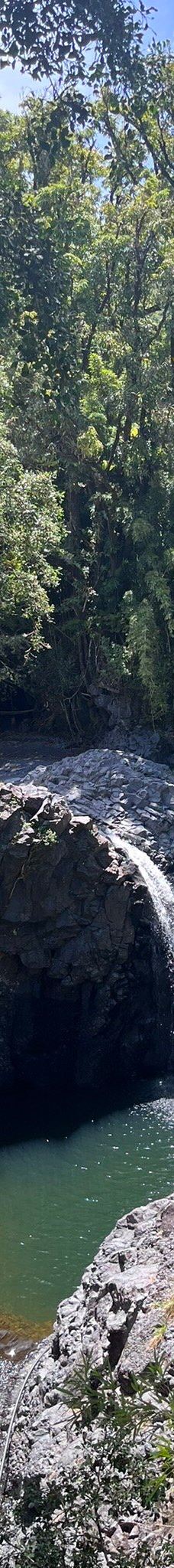 皮皮崴小径-茂宜县