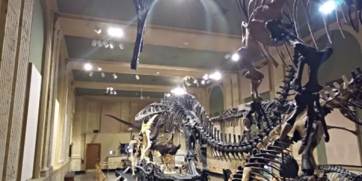 恐龍探索博物館