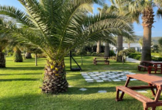 Ataturk Park景点图片