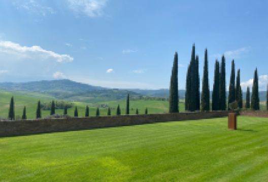 奥特西诺酒庄景点图片