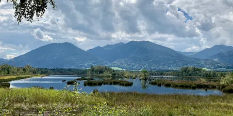 Moorerlebnis Sterntaler Filze