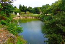 Taishoike Pond景点图片