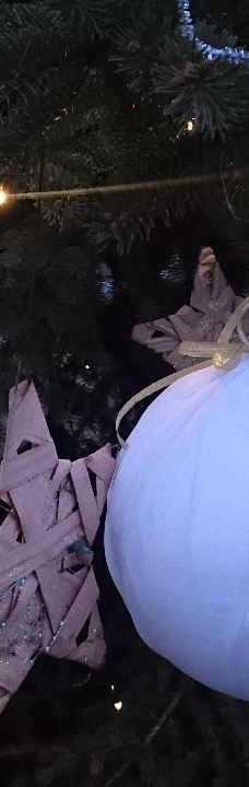 瓦萨里画廊-巴拉顿菲赖德