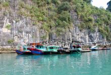 Cua Van Floating Village景点图片