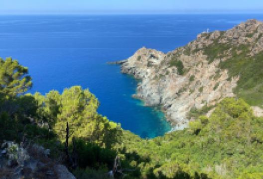 Isola di Gorgona景点图片