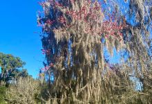 Egan's Creek Park景点图片