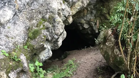 Cobden Cave