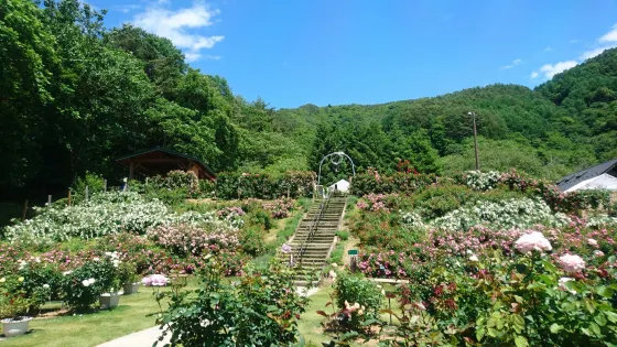 Takato Shinwa no Oka Rose Garden