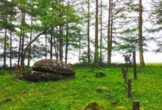 Naruishi景点图片