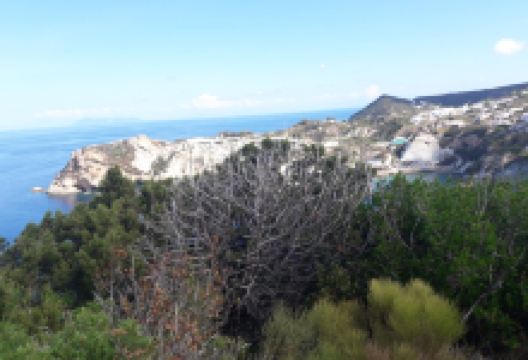 Belvedere della Madonnina景点图片