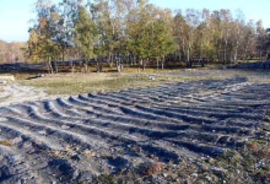 Backhalladalen景点图片