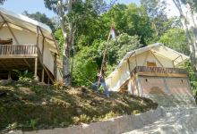 Glamp camp景点图片