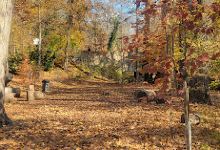 Ambler Borough Park景点图片