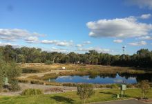 Lochiel Park Southern Wetland景点图片