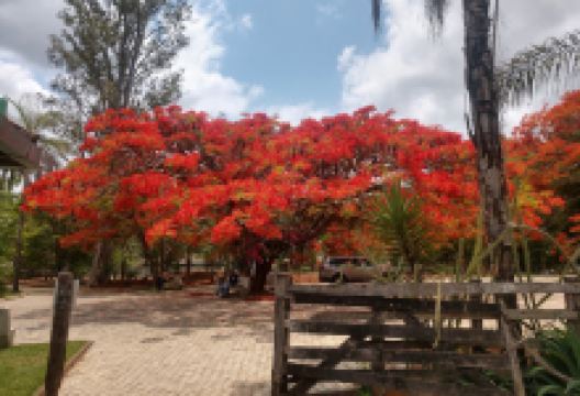 Archaeological Museum of the High Caste San Francisco (MAC)景点图片