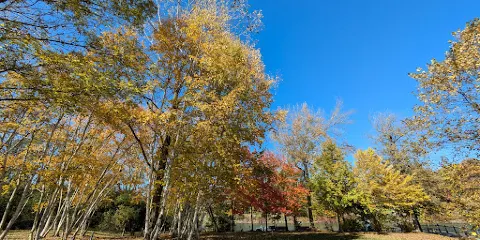 Amherst Veterans Canal Park