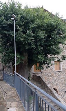 gorgues D'Albanyà-阿尔瓦纳