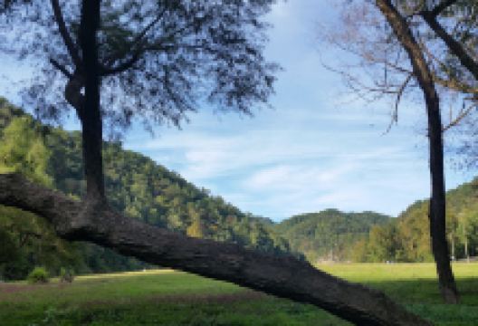 Rd Bailey Lake Day Use Shelter景点图片