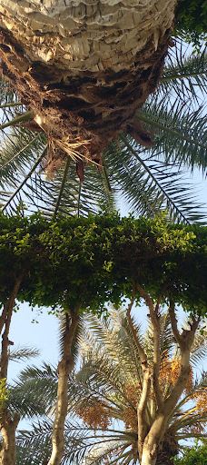 حديقة سوق الثلاثاء Sooq Althltha Garden-的黎波里