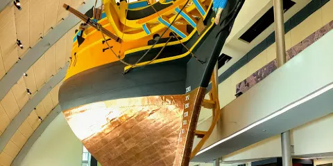 Museum of Tropical Queensland